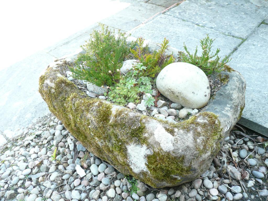 Carden Holiday Cottages - Elgin Crook of Alves エクステリア 写真