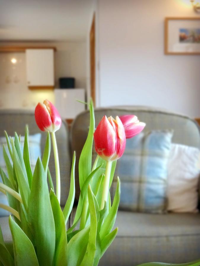 Carden Holiday Cottages - Elgin Crook of Alves エクステリア 写真